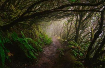 EDEN RENTALS Oasis Penthouse in Santa Cruz - Foto 45