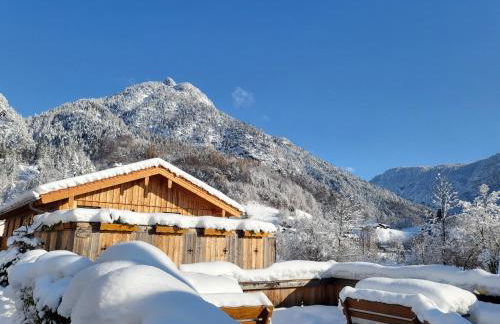 Nickis Bergcamp - Foto 2