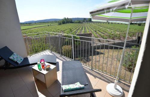Residence du Chateau de Jouarres, Azille - Studio 2 Pers. With Balcony - Foto 56