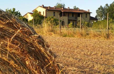 il Chiassetto Agriturismo No Kids - Foto 52