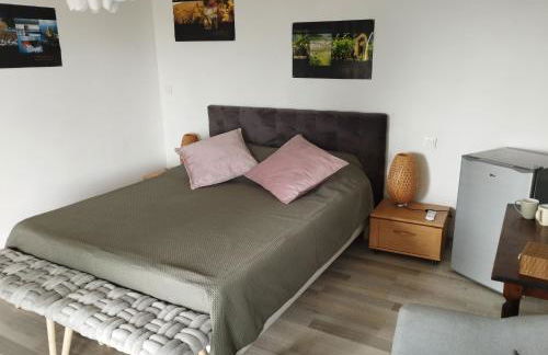 Domaine Ô Lingot d'Oc - Foto 44