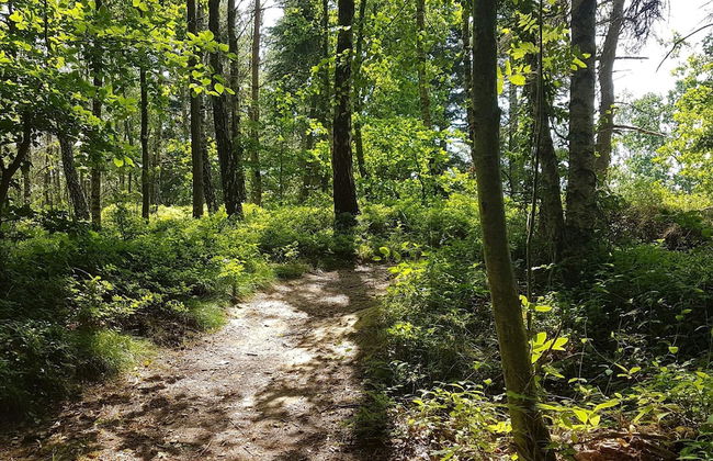 Seaside Idyll in Svaneke - By Traum Ferienwohnungen - Foto 8