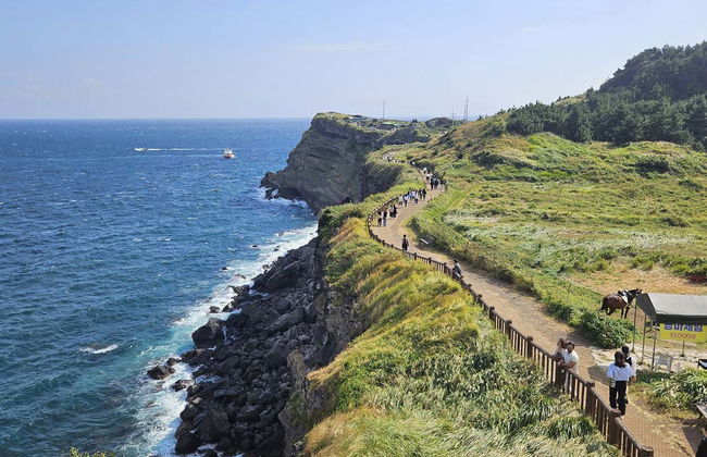 Jeju Island Bus Tour - Foto 13