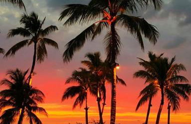 Coastal Retreat 4 Rooms Close To Clearwater & IRB - Foto 6