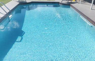 The Playful Pelican - Foto 13