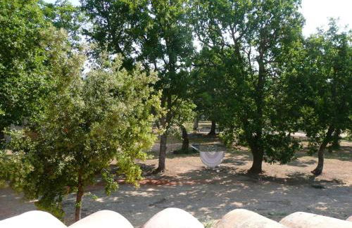 Appartement charmant à Sainte Croix du Verdon avec terrasse - Foto 12