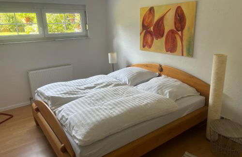 Jagstidyll bei Heilbronn Audi Lidl - Foto 4