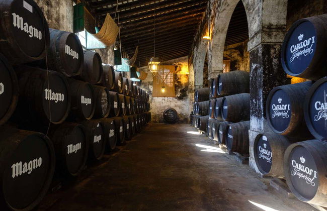 Visite aux Bodegas Osborne - Photo 3