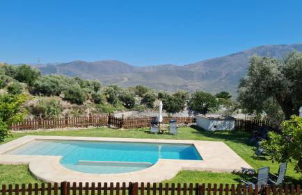 Tropical Studio - Foto 42