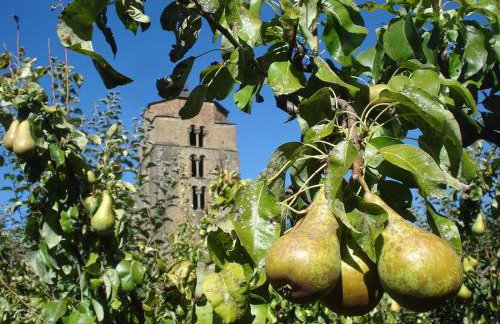 Casa Rural Barangua en el Pirineo Aragonés - Foto 33