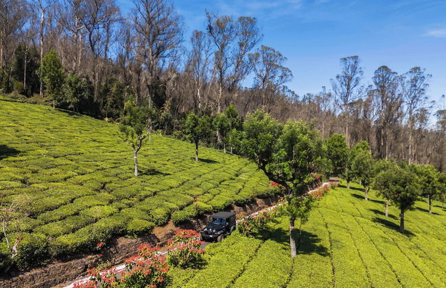 Cloud walk - Foto 28