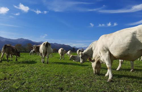 Agriturismo Fior Di Campo - Foto 19