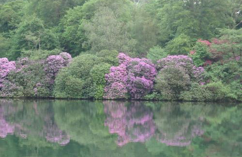 Swallow Cottage - Foto 43