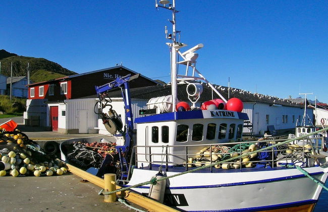 Holiday Home in Ballstad - Foto 35