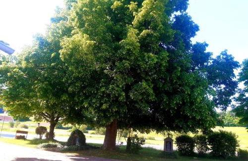 Fleischmannhof Do san ma dahoam - Foto 35