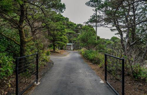 Alicia's Beach House - Foto 39