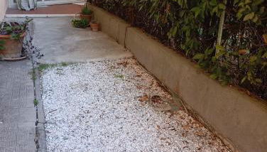 Appartamento Gnomo Leo - Foto 5, Garden view