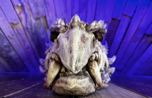 Coed Y Ddraig - themed 3 bedroom cottage, with bar & pool table - Photo 24