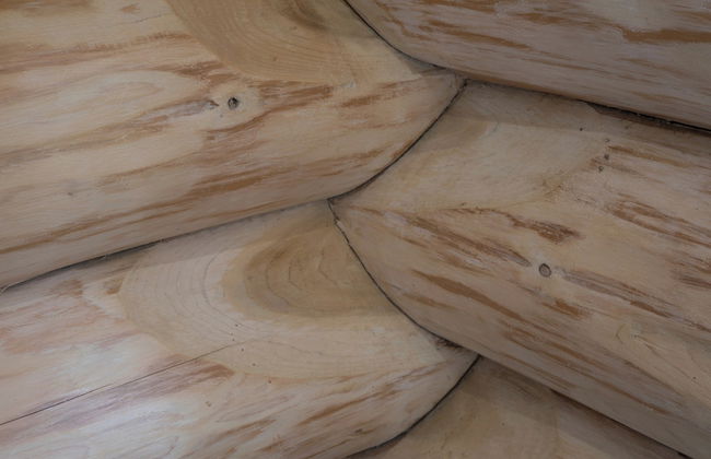 Traditional Scandinavian/north American Log Home - Foto 23