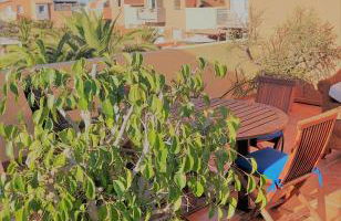 Casa Leon Fuerteventura - Photo 27