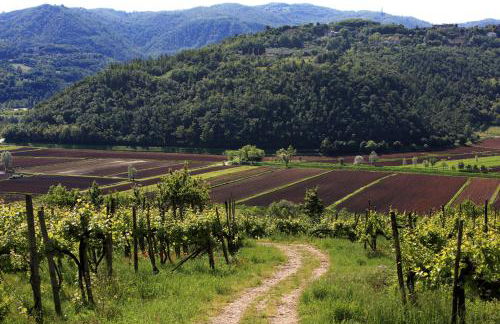 Fattoria Le Vegre - Foto 4