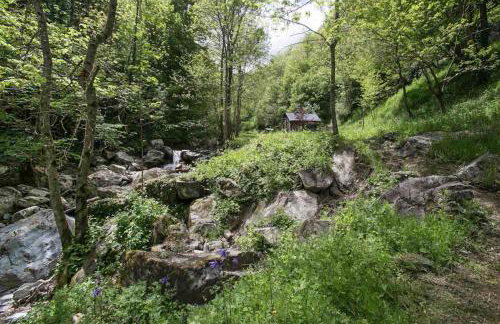 Els Pins d'Abella - Foto 60