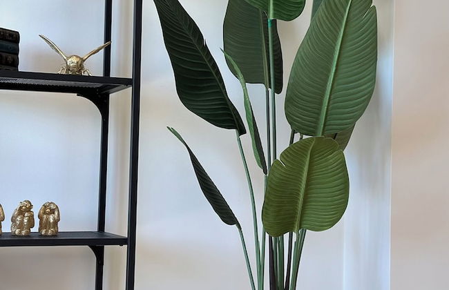 Apartment Sleeps 6 With Private Garden - Photo 21