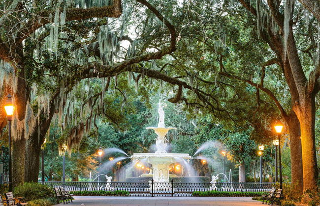 Tour por Savannah - Foto 5