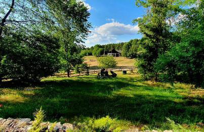 Agroturystyka Stara Huta - Foto 52