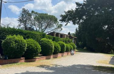 Gli Ulivi di Siena 2 - Foto 15