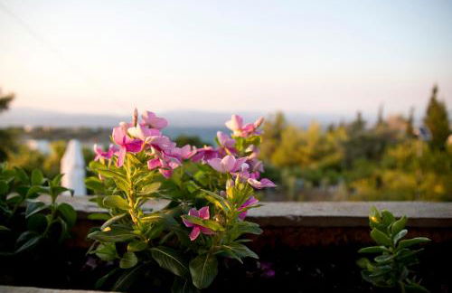 Seaview Resort - Foto 34