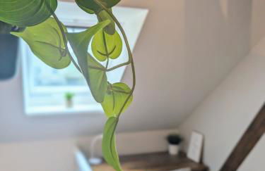 Luxury city apartment with parking - Foto 9