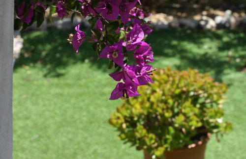 La Casa de la Oma -La Caseta - Foto 52