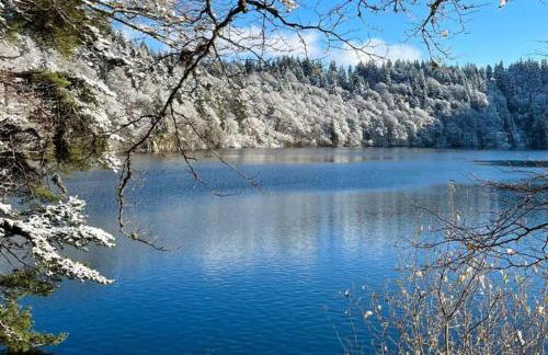 Les Marmottes de Murol - Foto 41