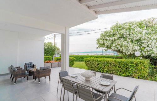 Seashell by halu! - Foto 1