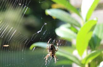 Domy na Kaszubach w Kamieniu - Foto 33