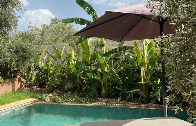 Le Figuier du lac - Photo 50