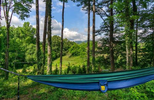 Nomad Retreat Pet-Friendly, Hot Tub & Mountain View - Foto 6