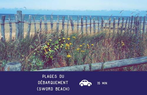 Voilier confortable en bois à cotés des plages et ferries - Photo 30