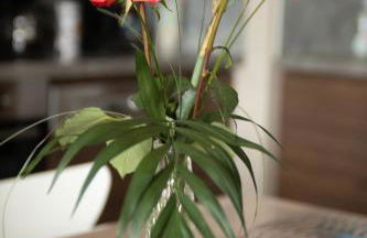 Maison aux portes de Beauval - Foto 34