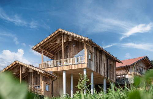 DILIA Chalets & Apartments - Foto 46