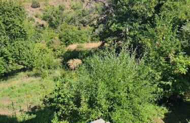 Villa de Castro - Foto 22