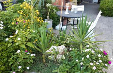 Apartments studio Vukman Novalja - Photo 14