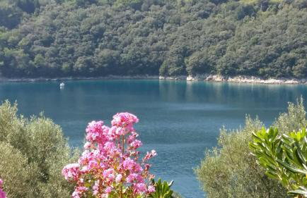 Villa Luma Apartments - Foto 13