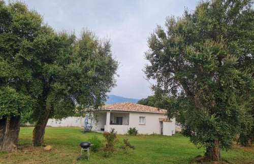 Location "Casa Monna" - Foto 15