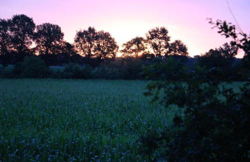 Ferienwohnung Am Schippstroth - Foto 17