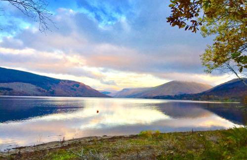 Seal Cove Cabin - Luxury Glamping - Foto 2