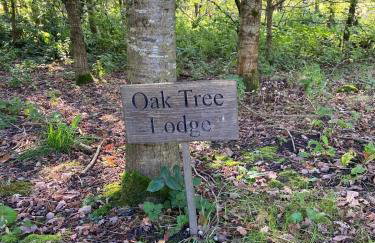Oak Tree Lodge with Hot Tub near Alton Towers - Foto 41