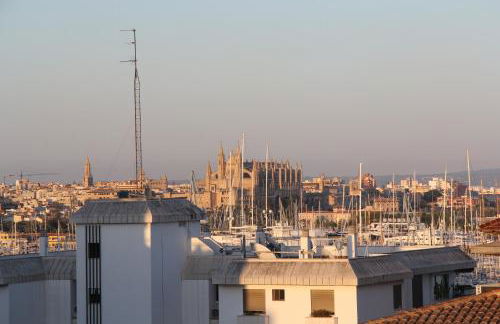 Gomila Palma Apartments - New Opening - Photo 52