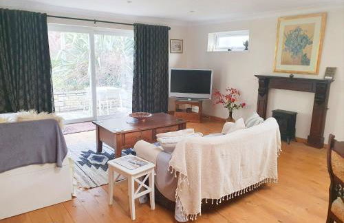 Little Dragons - Photo 11